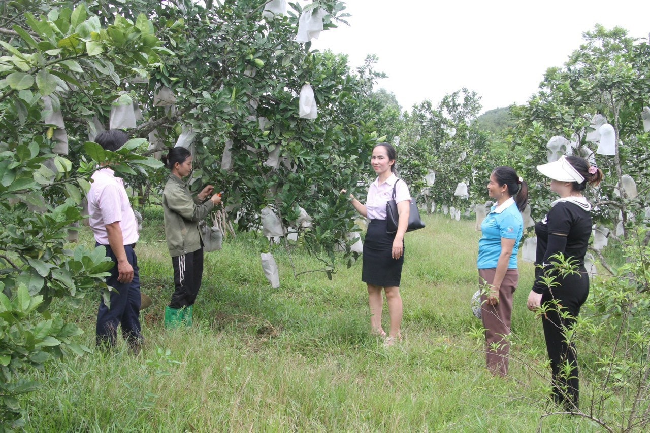 Góp sức đổi thay diện mạo vùng quê Nghệ An -0