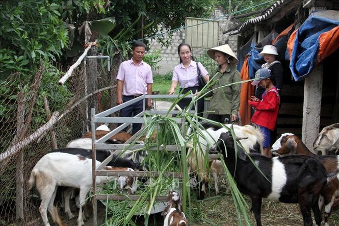 Góp sức đổi thay diện mạo vùng quê Nghệ An -0