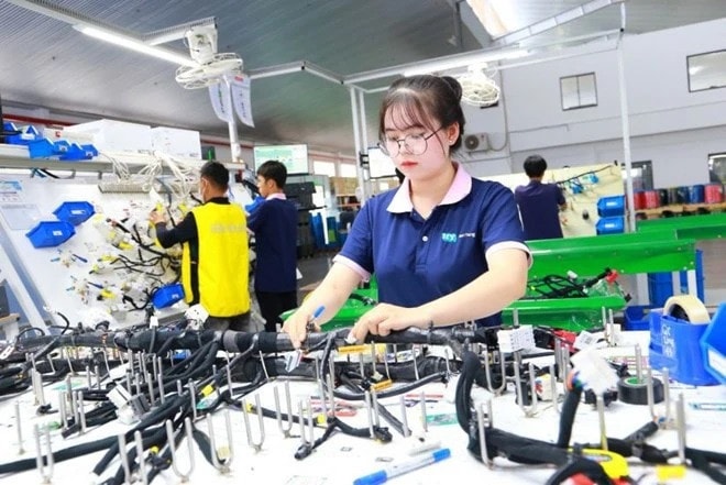 FDI inflow expected to hit 40 billion USD in 2024, pushing GDP growth up -0
