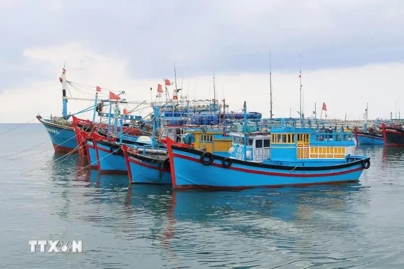 Ben Tre province takes concerted efforts to combat IUU fishing -0