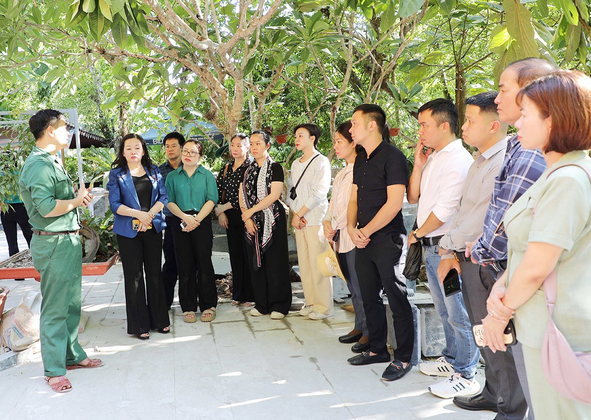 Báo Đại biểu Nhân dân dâng hương, tri ân các Anh hùng liệt sĩ tại các tỉnh Quảng Trị, Quảng Bình, Hà Tĩnh và Nghệ An -3