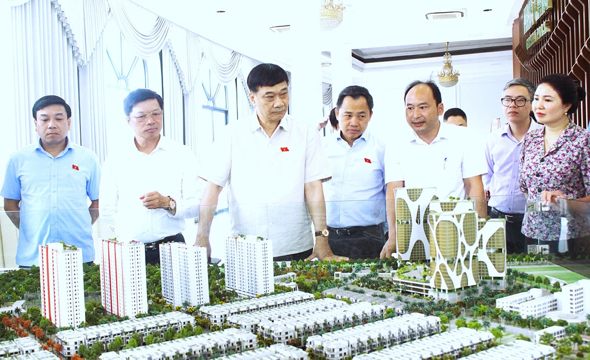 doi-thi-him-lam.jpg -2