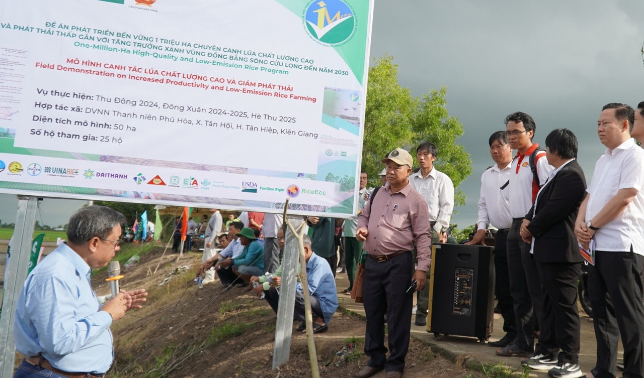 Mô hình canh tác lúa chất lượng cao, phát thải thấp của HTX Dịch vụ nông nghiệp Thanh niên sẽ thực hiện trong vụ Thu Đông 2024, vụ Đông Xuân 2024-2025 và vụ Hè Thu 2025 Tỉnh có diện tích trồng lúa lớn nhất nước, bắt đầu trồng lúa chất lượng cao