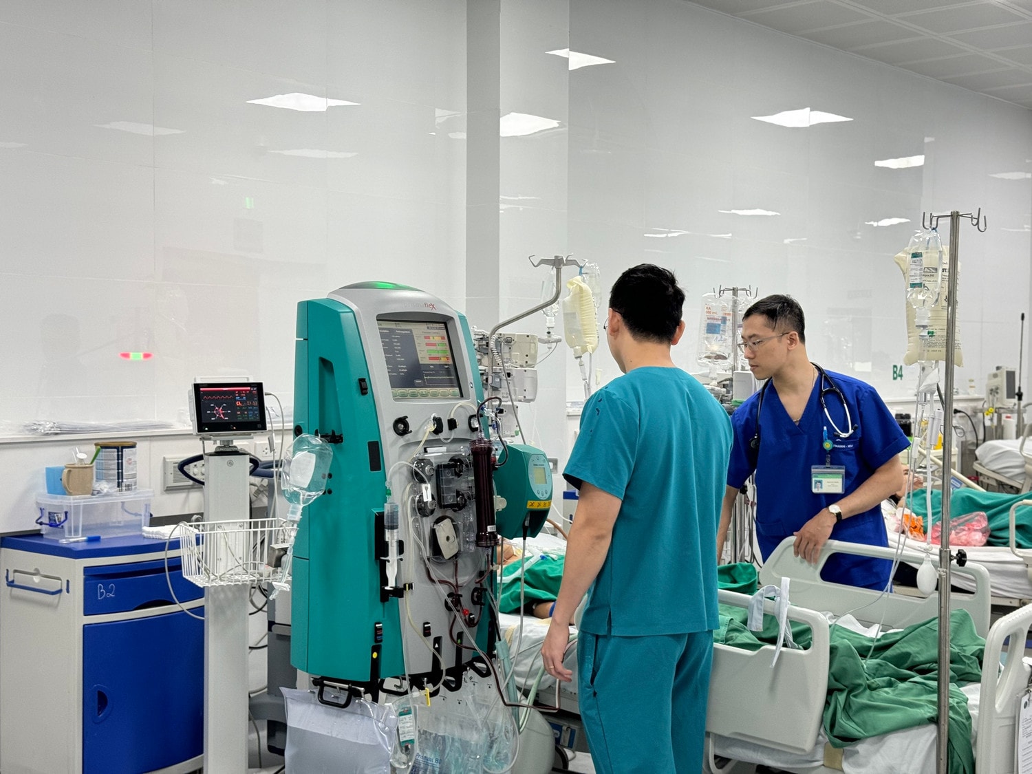 Bé gái 13 tuổi sốc phản vệ nguy kịch do ong mật đốt -0