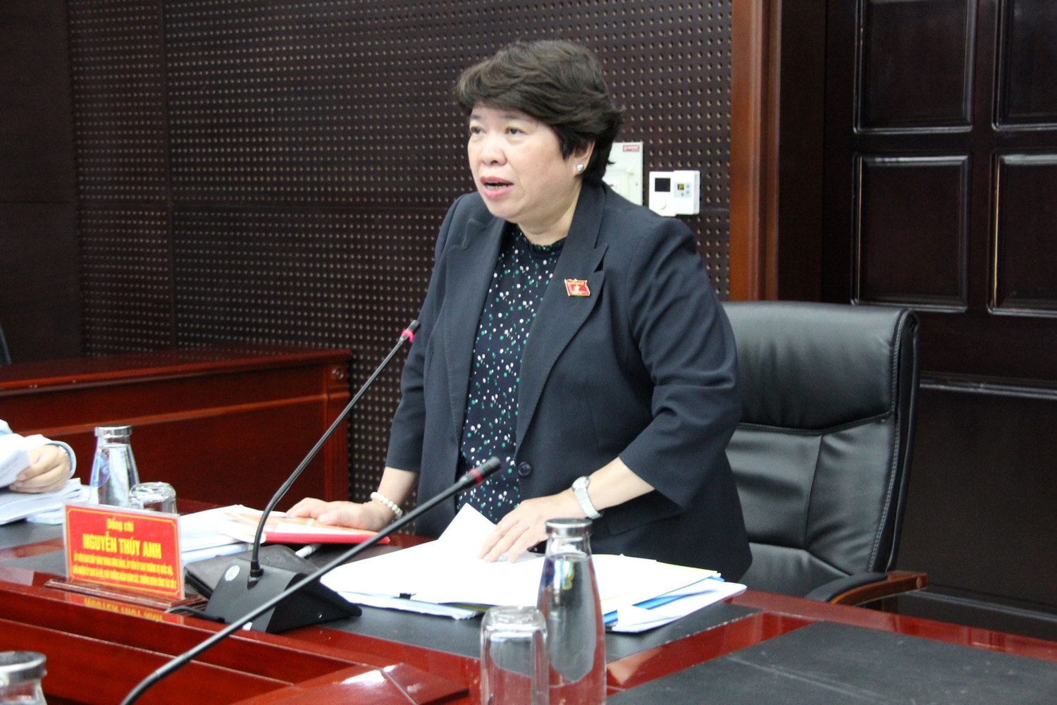 Chủ nhiệm Ủy ban Xã hội Nguyễn Thúy Anh phát biểu tại buổi làm việc với đại diện sở, ngành và các chủ đầu tư dự án bất động sản ở Đà Nẵng