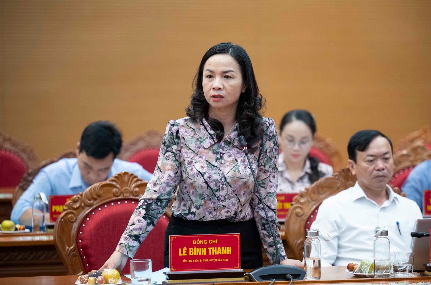 Phó Chủ tịch Quốc hội, Thượng tướng Trần Quang Phương chủ trì cuộc làm việc với Thường trực HĐND tỉnh Bình Định -0