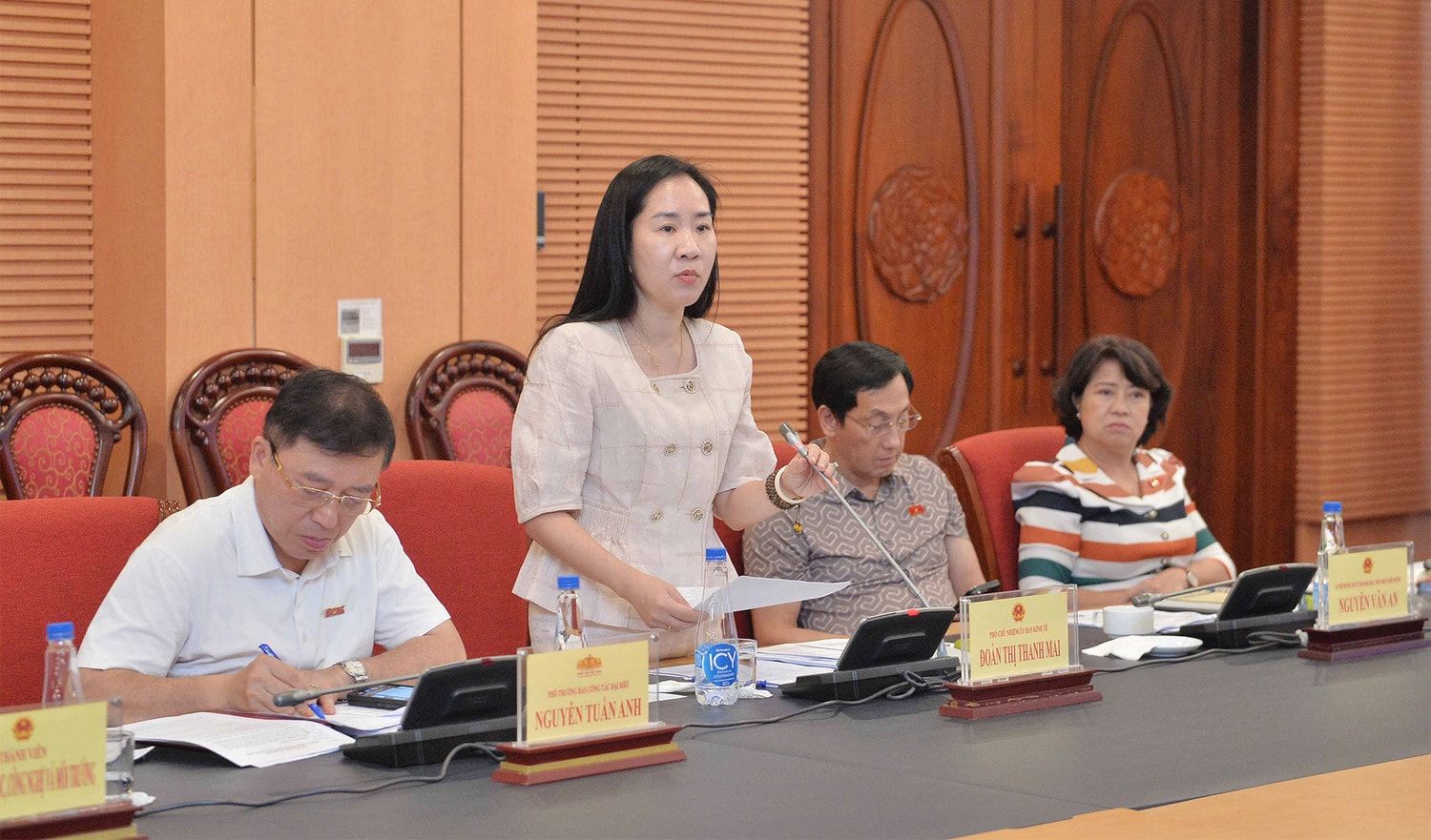 Tiếp thu, chỉnh lý, hoàn thiện dự thảo Luật Địa chất và Khoáng sản -0