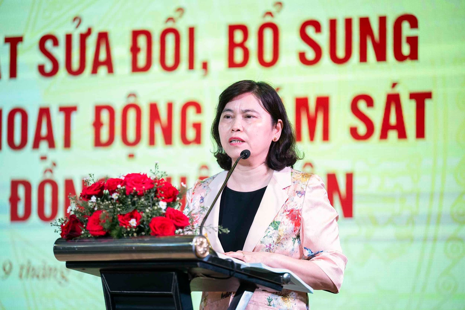Phó Chủ tịch Quốc hội, Thượng tướng Trần Quang Phương dự Hội thảo về sửa đổi Luật Hoạt động giám sát của Quốc hội và HĐND tại tỉnh Bình Định -0