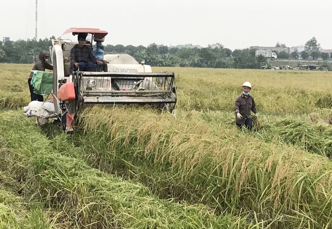  Tuyên truyền Luật HTX năm 2023 -0
