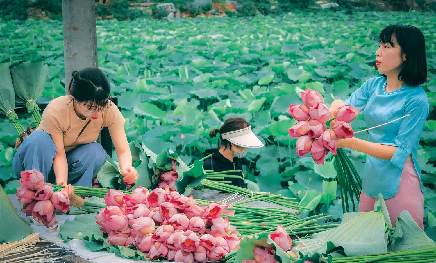 Ảnh: Vương Lộc