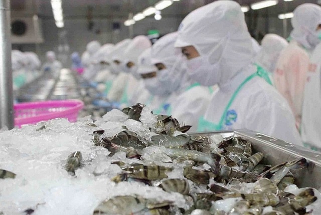 Doanh nghiệp xuất khẩu tôm nỗ lực tăng tốc nửa cuối năm -0