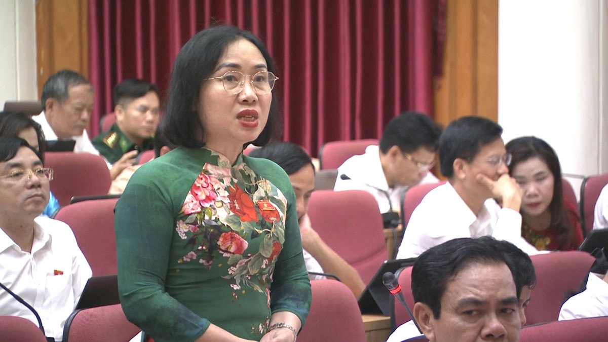Đại biểu Nguyễn Thị Thúy Nga - Tổ đại biểu huyện Nghi Xuân chất vấn Giám đốc Sở TN - MT
