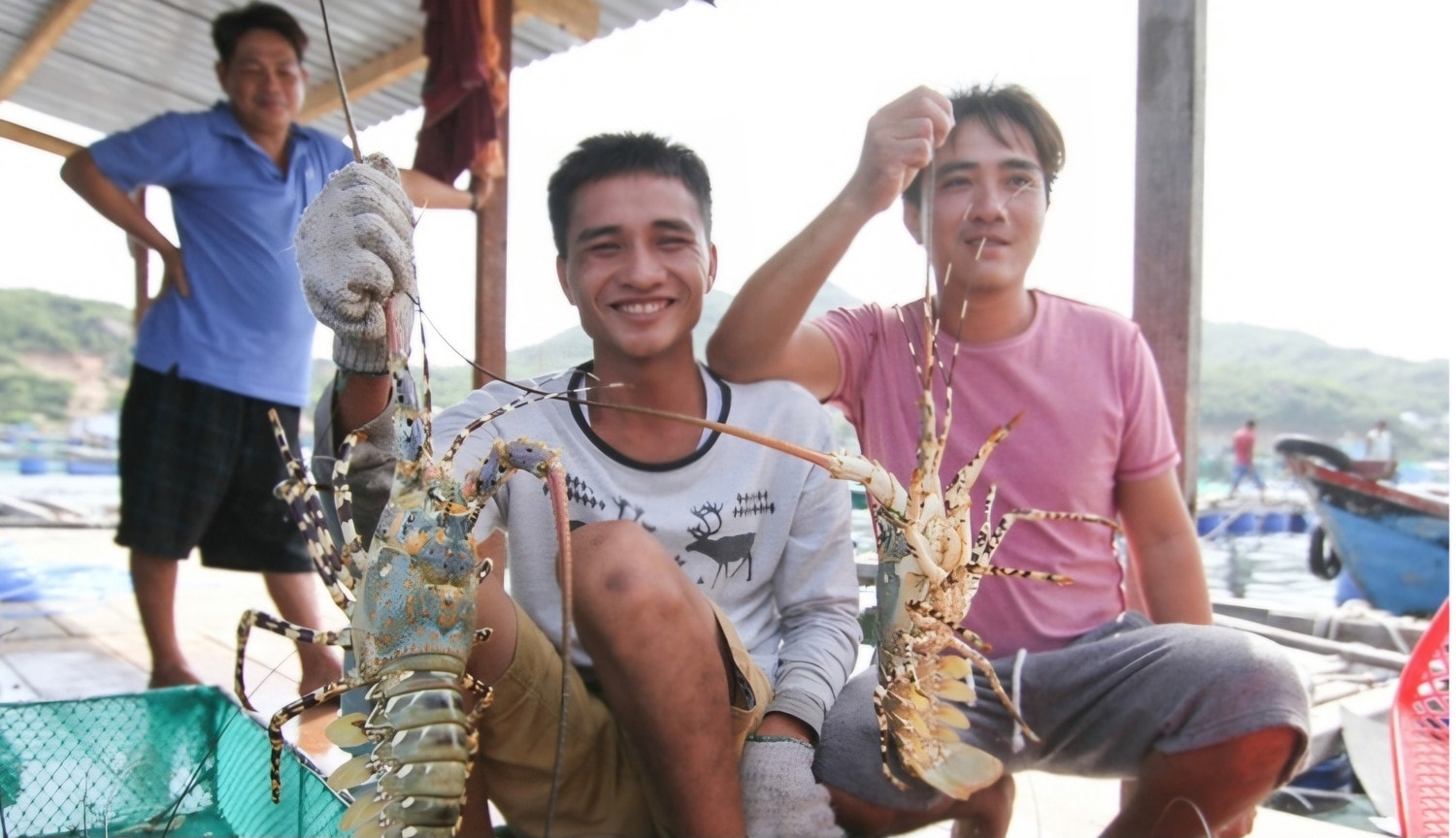 Lễ hội tôm hùm -0