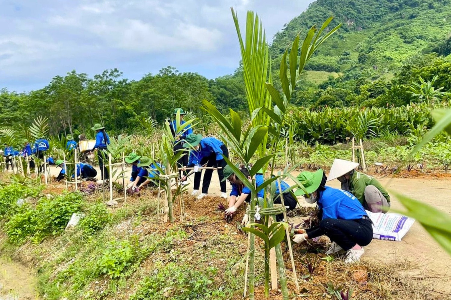 Những người trẻ tình nguyện mang cuộc sống xanh lên vùng cao -0
