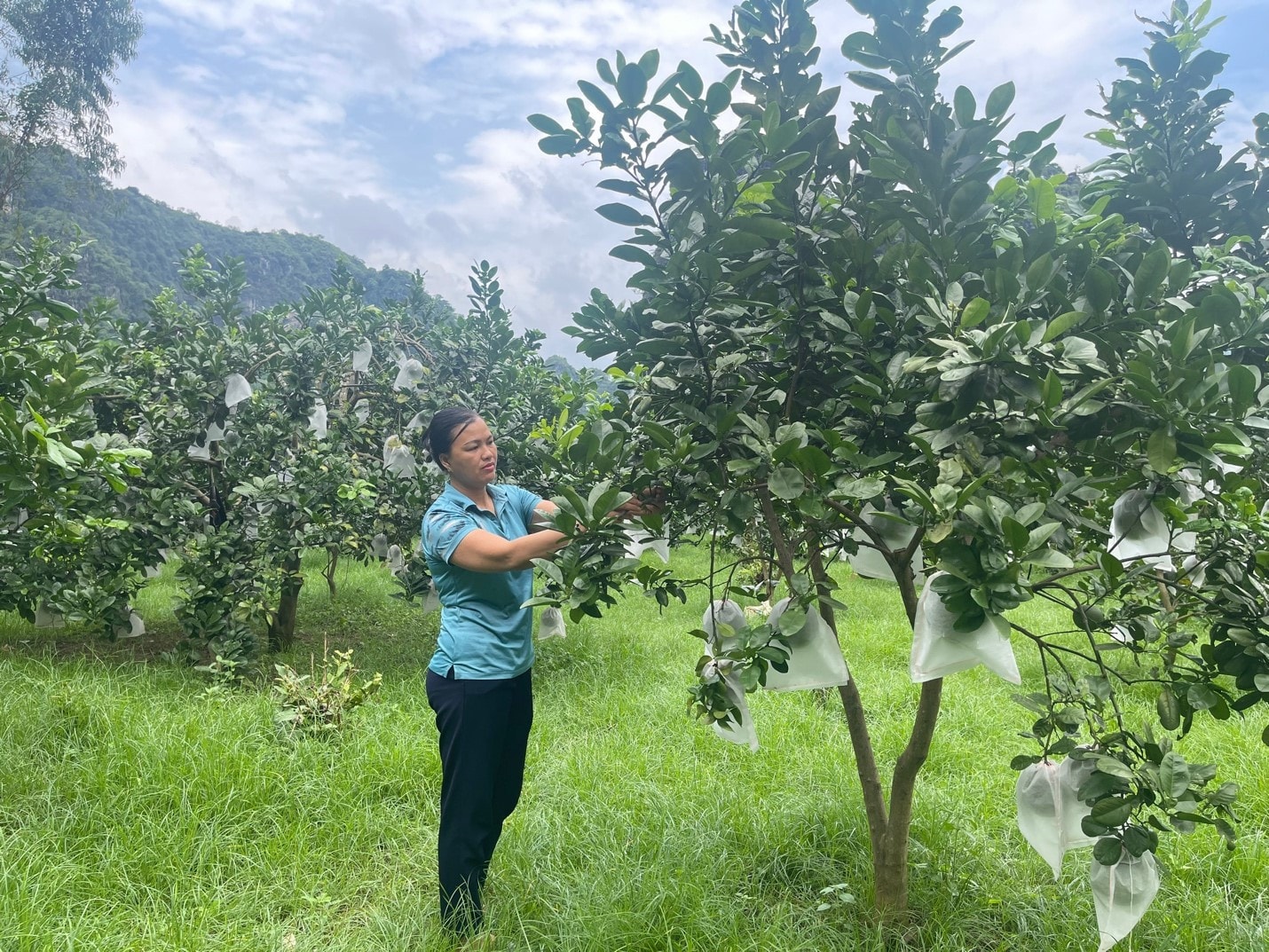 Cùng phụ nữ vượt khó vươn lên làm giàu -0