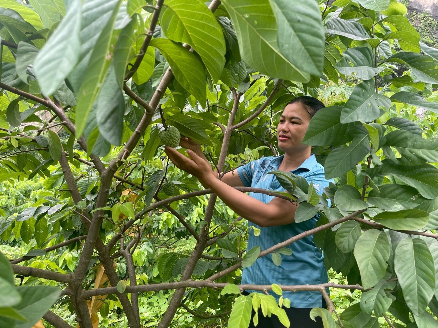 Cùng phụ nữ vượt khó vươn lên làm giàu -0