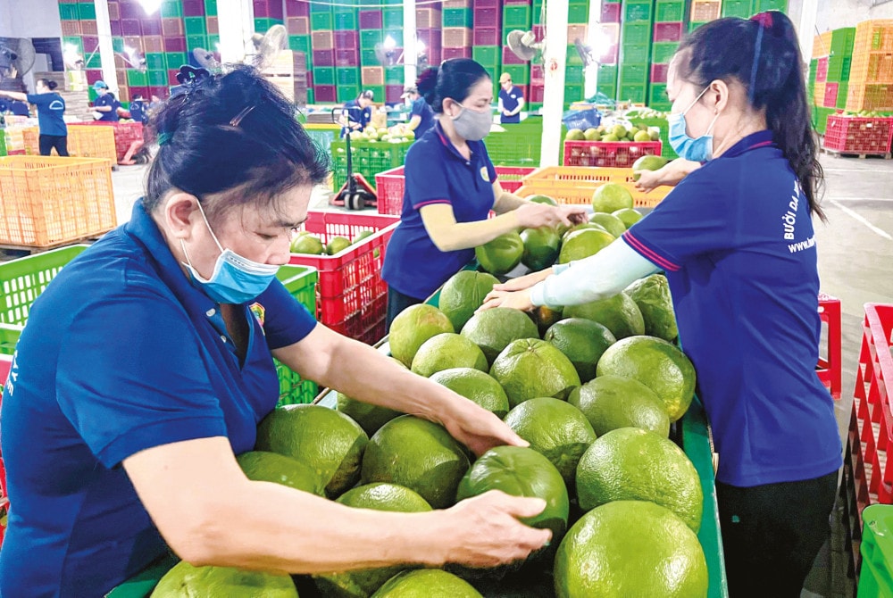 Ảnh minh họa. Nguồn: ITN