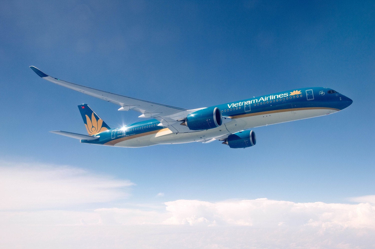 Vietnam Airlines tiếp tục vận chuyển miễn cước vắc xin cho Chương trình Tiêm chủng mở rộng Quốc gia -0