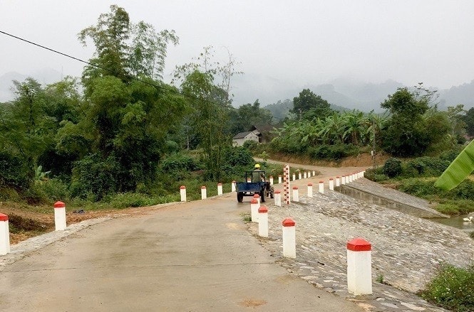 picture1.jpg