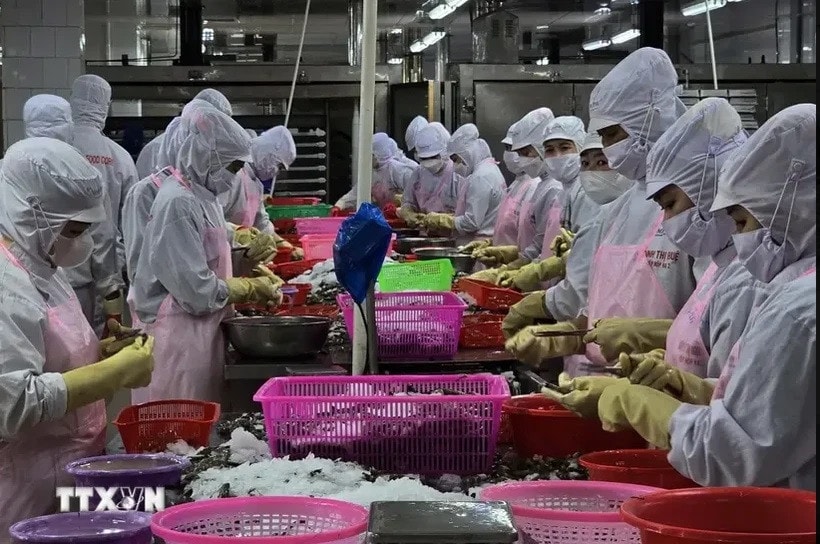 Agro-forestry-aquatic product exports up nearly 19% in seven months -0