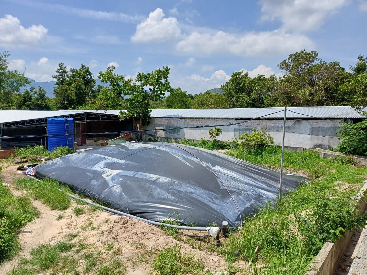 Xử phạt trang trại ở Đắk Lắk xả thải ra môi trường vượt quy chuẩn hơn 600 lần -0