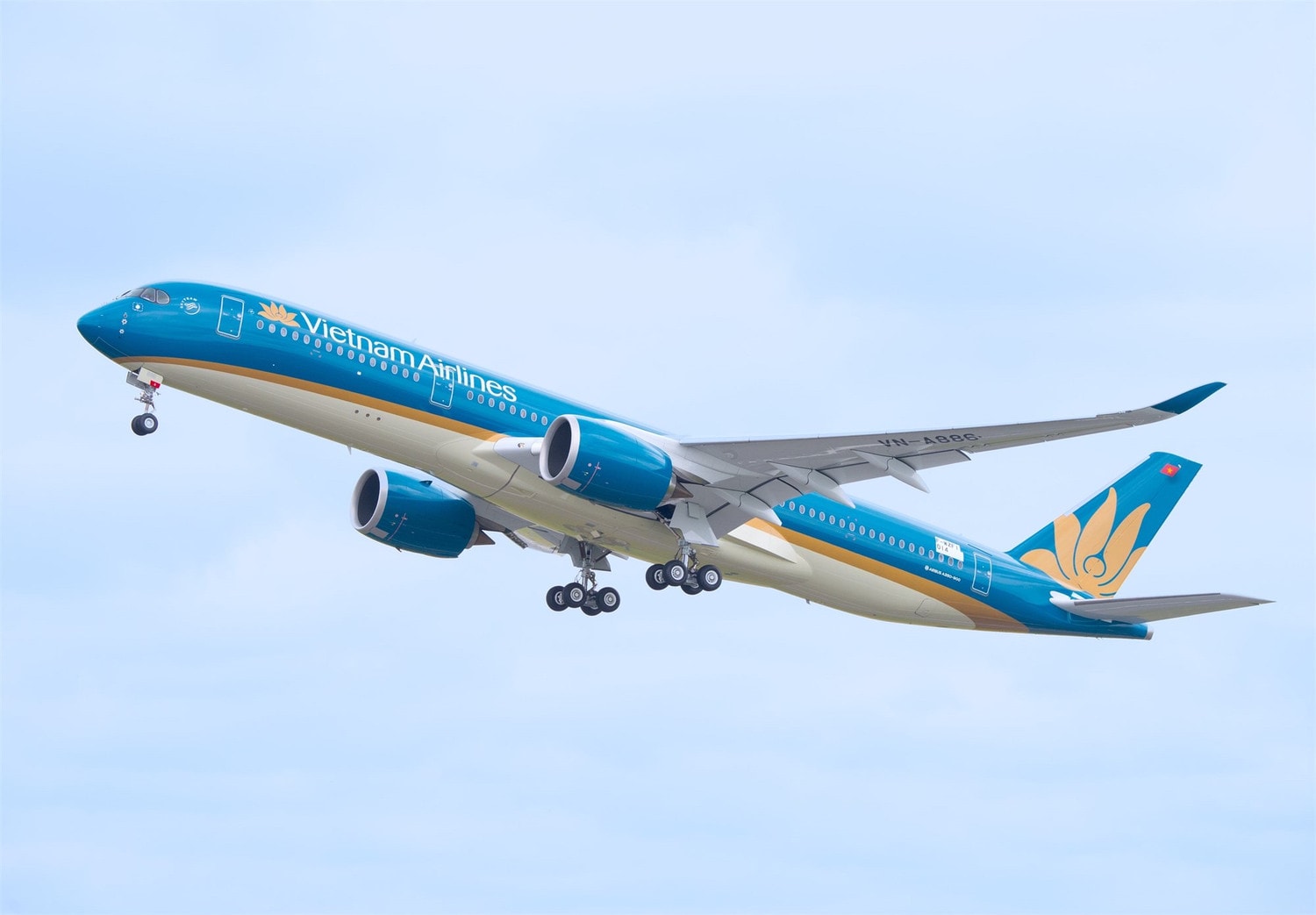 Đưa thị trường du lịch Việt Nam - Ấn Độ “cất cánh” ảnh 1 Vietnam Airlines là cầu nối quan trọng về kinh tế, chính trị và văn hóa giữa Việt Nam và Ấn Độ. Ảnh: VNA