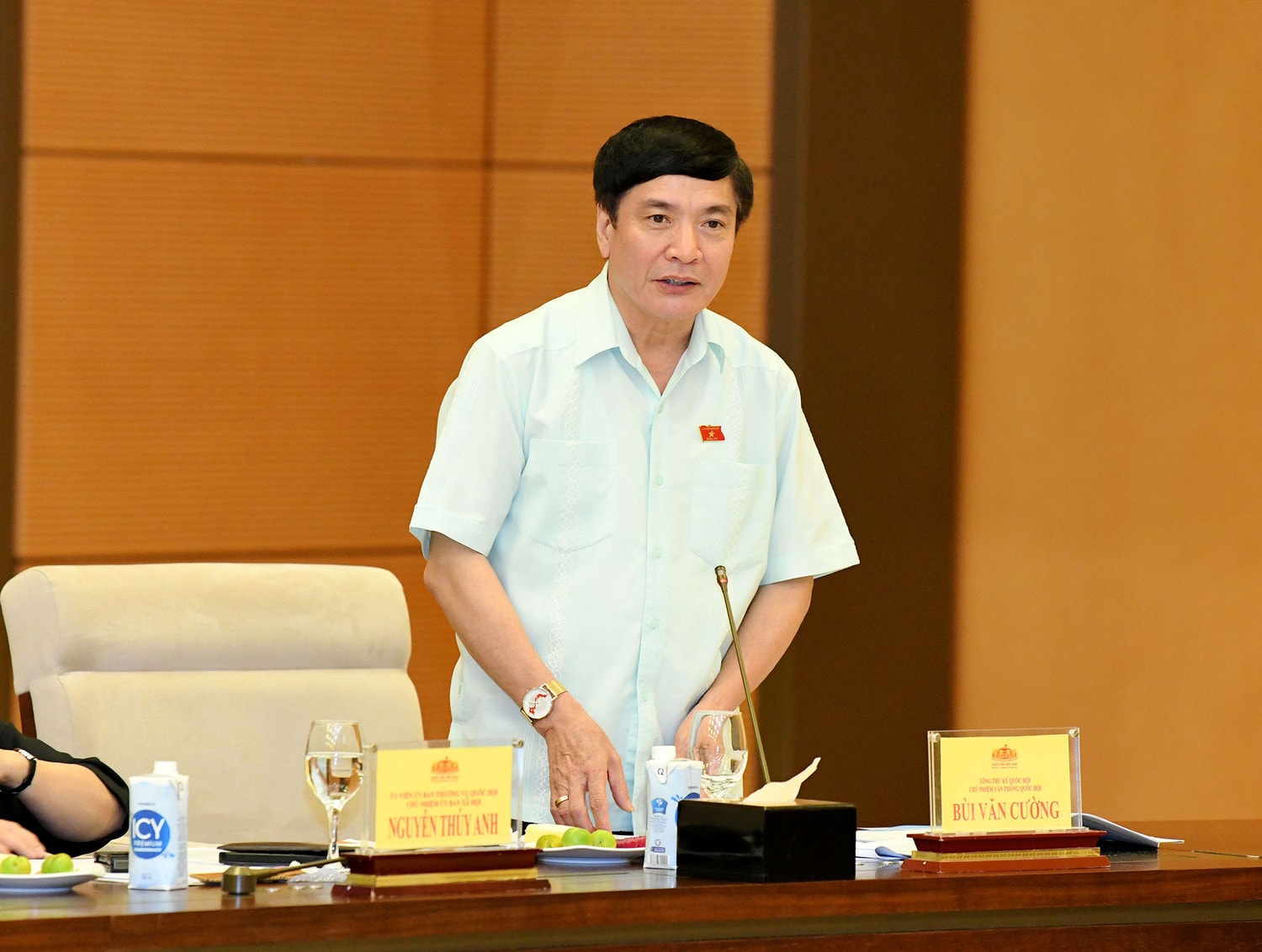 Chủ tịch Quốc hội Trần Thanh Mẫn làm việc với Ủy ban Văn hóa, Giáo dục, Ủy ban Xã hội và Ban Công tác đại biểu -0