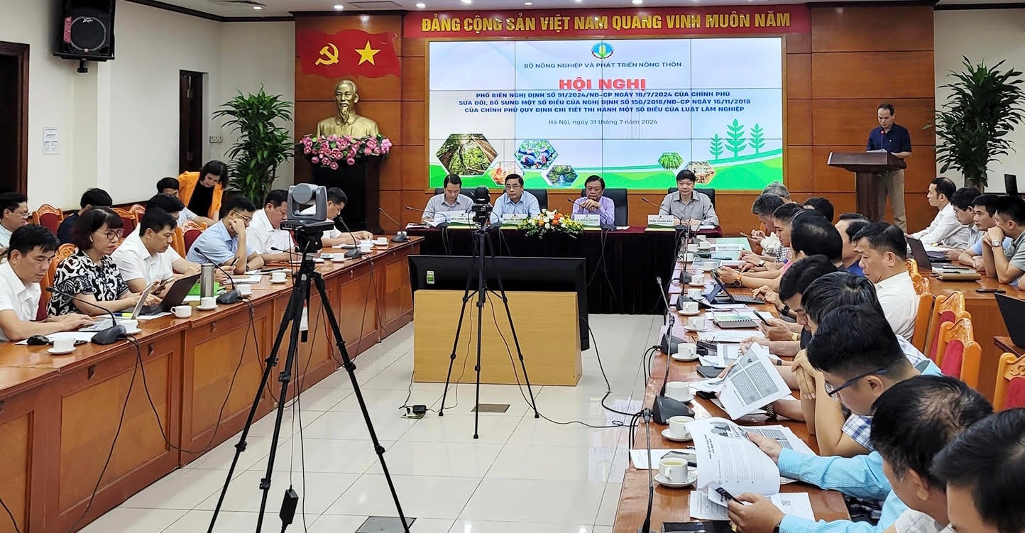 Hoàn thiện cơ chế bảo vệ, quản lý và khai thác rừng -0