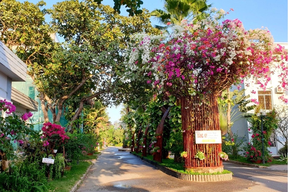 Sao Mai Resort Vũng Tàu: Nốt nhạc thăng hoa, nâng tầm nghỉ dưỡng 