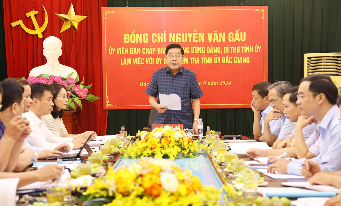 Chú trọng, khắc phục tình trạng chồng chéo trong công tác kiểm tra, giám sát, thanh tra -0