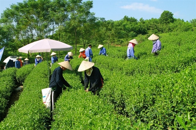 Masan tiết giảm năng lượng, sử dụng năng lượng tái tạo cho mục tiêu đạt phát thải ròng bằng 0 -0