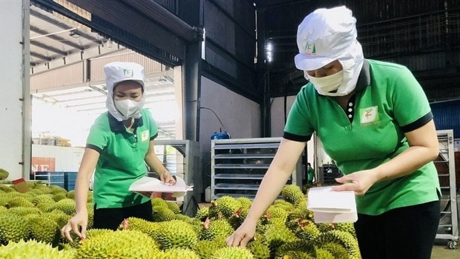 ,Tăng cường thực thi các quy định về an toàn thực phẩm