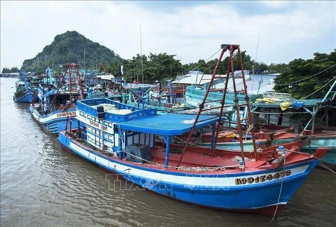 Thanh Hoa's offshore fishing vessels (Photo: VNA) Thanh Hoa, Quang Tri step up efforts to combat IUU fishing -0