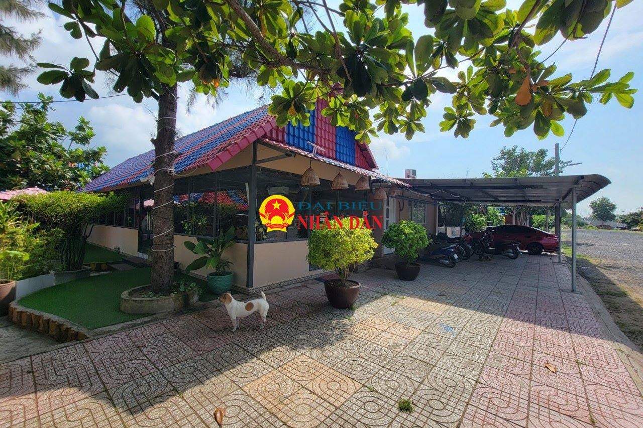 TP. Hồ Chí Minh: Hàng loạt sai sót trong chuyển đổi mục đích sử dụng đất tại công trình thương mại – dịch vụ tại xã Long Hòa -0