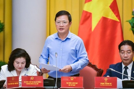 Thứ trưởng Bộ Tư pháp Mai Lương Khôi - Ảnh H.Ngọc