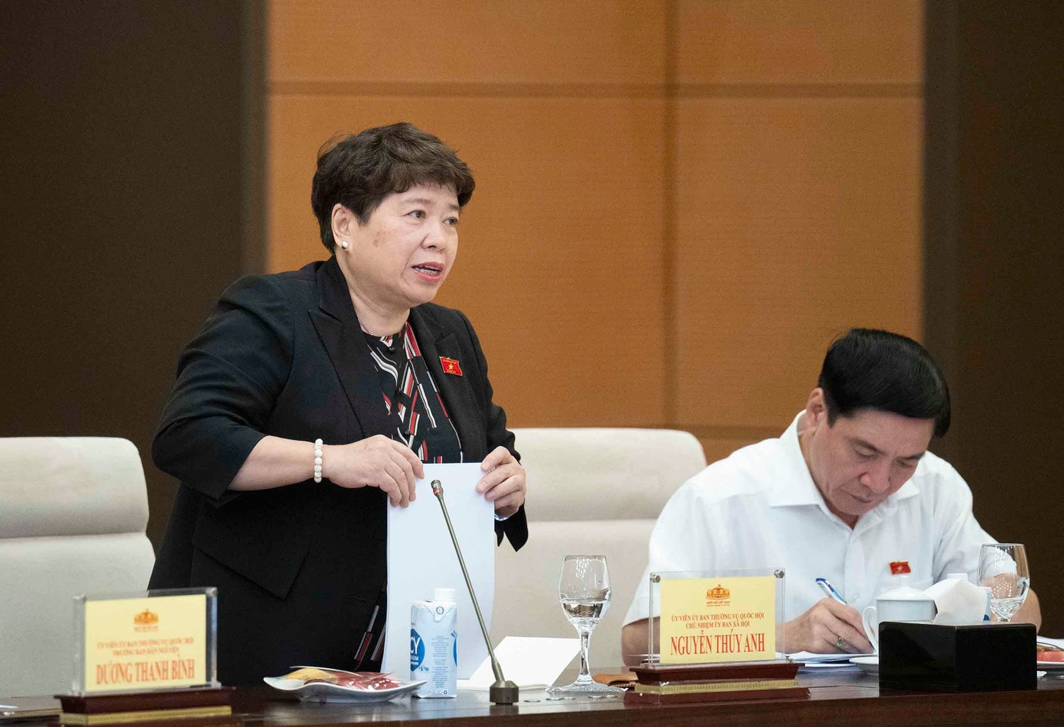 Chủ nhiệm Ủy ban Xã hội Nguyễn Thúy Anh phát biểu