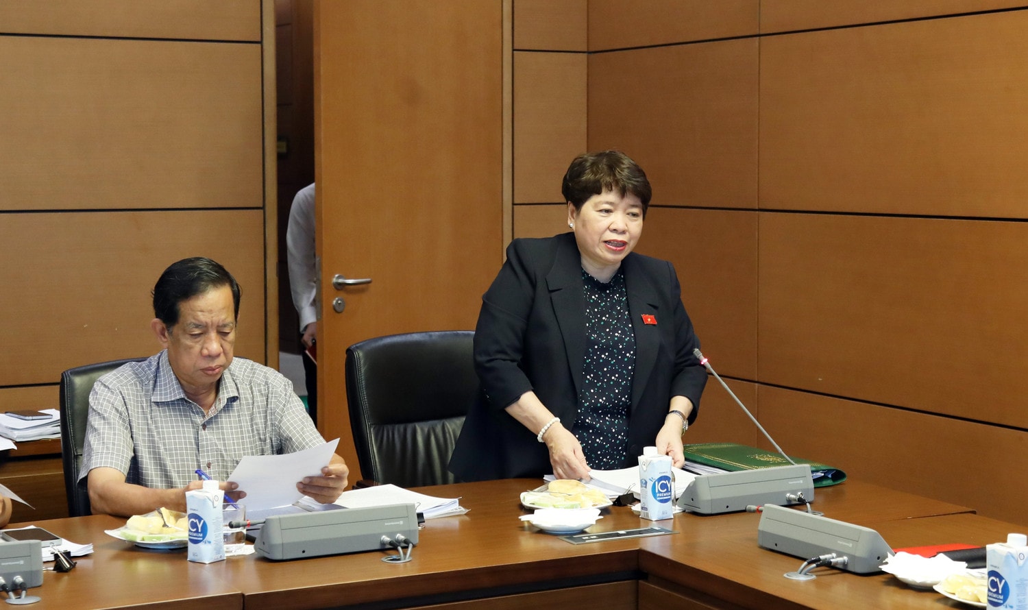 Chủ nhiệm Ủy ban Xã hội Nguyễn Thuý Anh phát biểu Phó Chủ tịch Quốc hội Nguyễn Thị Thanh chủ trì làm việc với Thường trực Ủy ban Xã hội về việc báo cáo tiếp thu, giải trình chỉnh lý dự án Luật Dược (sửa đổi) và Luật Công đoàn (sửa đổi) -0