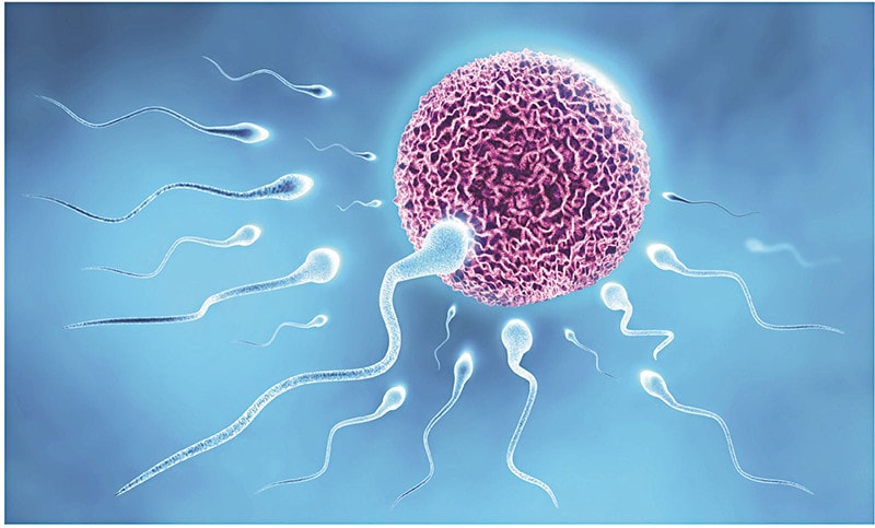 Xét nghiệm đứt gãy DNA tinh trùng - Tiến bộ mới trong chẩn đoán vô sinh nam -0