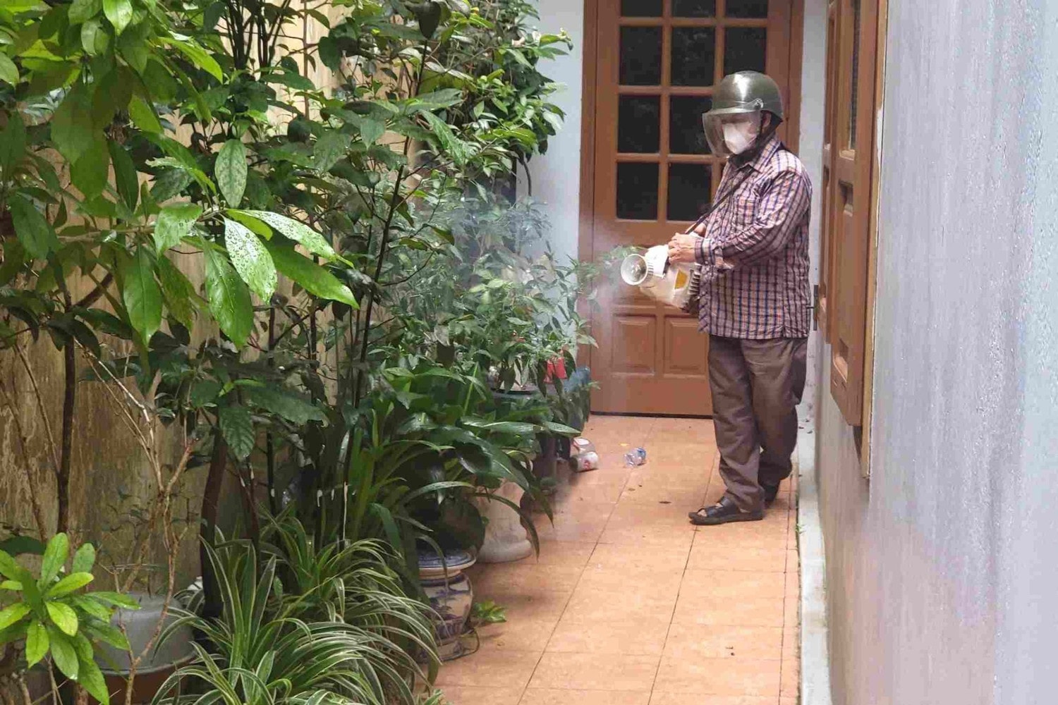 Hải Phòng ghi nhận ca tử vong do mắc sốt xuất huyết -0