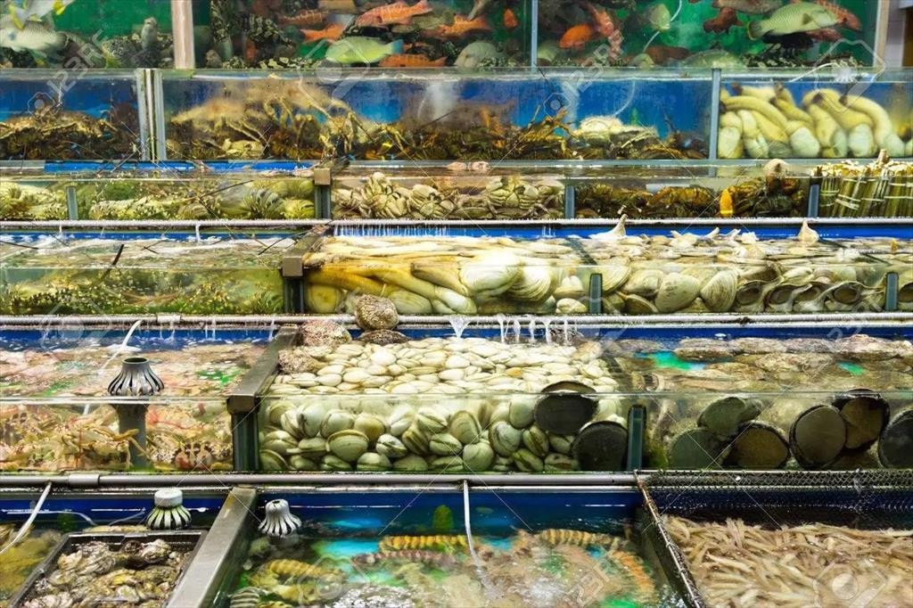 Thủy sản tươi, sống nhiều dư địa trên thị trường Trung Quốc -0