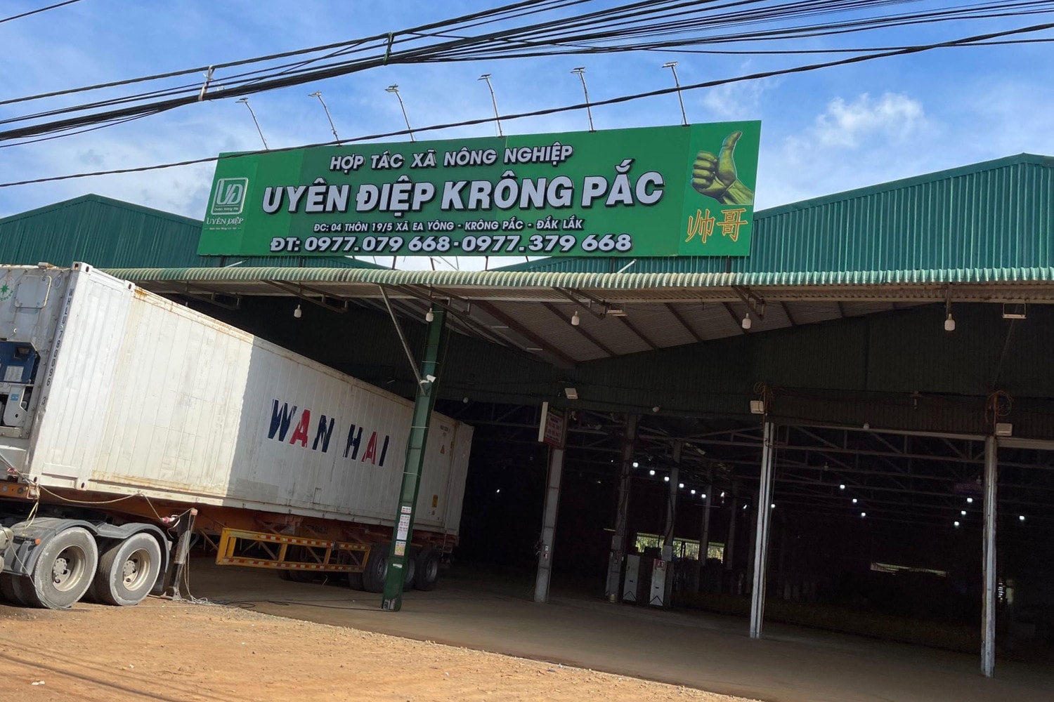 Nhức nhối doanh nghiệp sầu riêng Đắk Lắk dán mã đóng gói sầu riêng TP. HCM để xuất khẩu -1