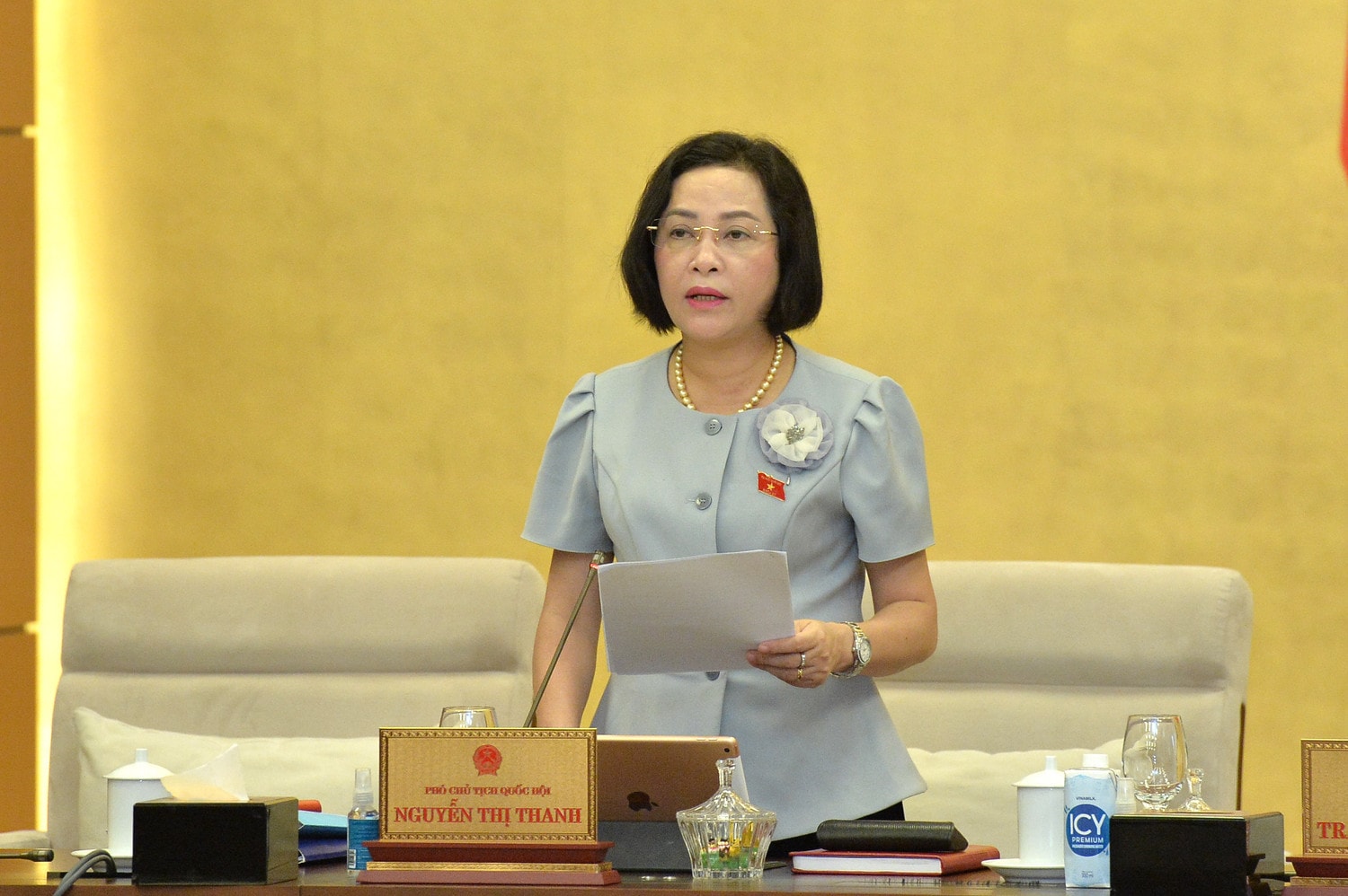 phó chủ tịch qh nguyễn thị thanh.jpg -4
