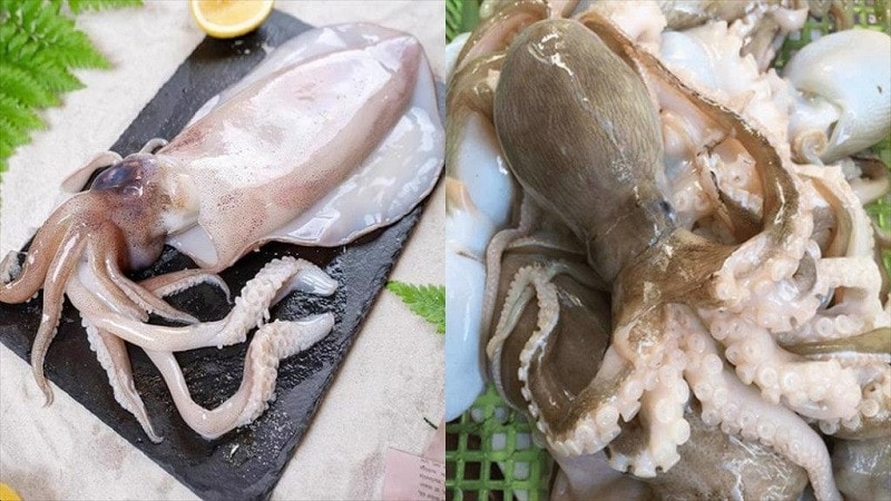 Hàn Quốc là động lực tăng trưởng của xuất khẩu mực, bạch tuộc Việt Nam nhiều dư địa vào thị trường -0