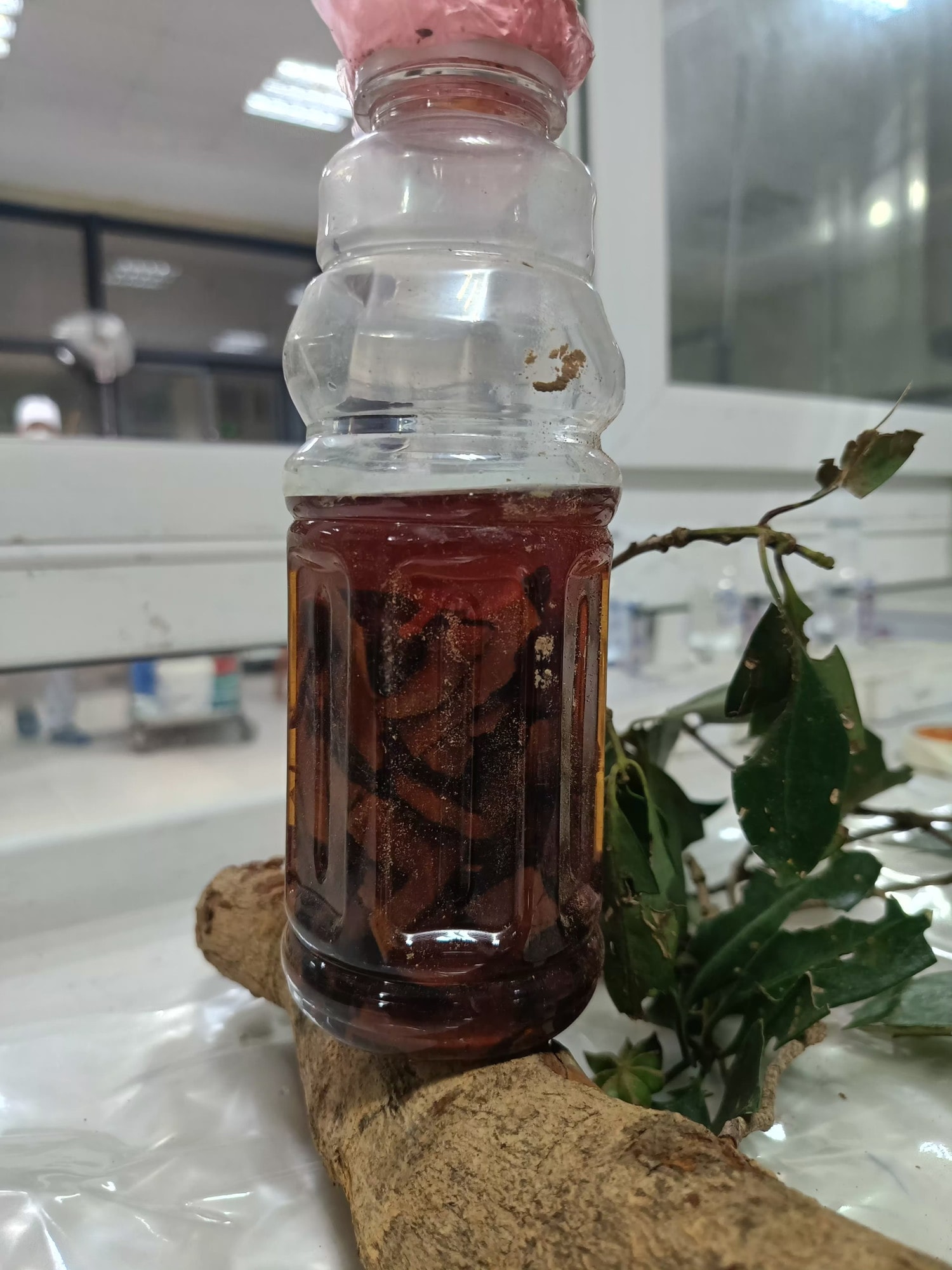 Uống rượu ngâm rễ cây rừng, 2 người đàn ông ngộ độc nguy kịch -0