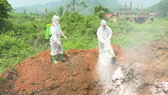 Bắc Kạn: Đẩy mạnh thực hiện các dự án hỗ trợ phát triển sản xuất -0