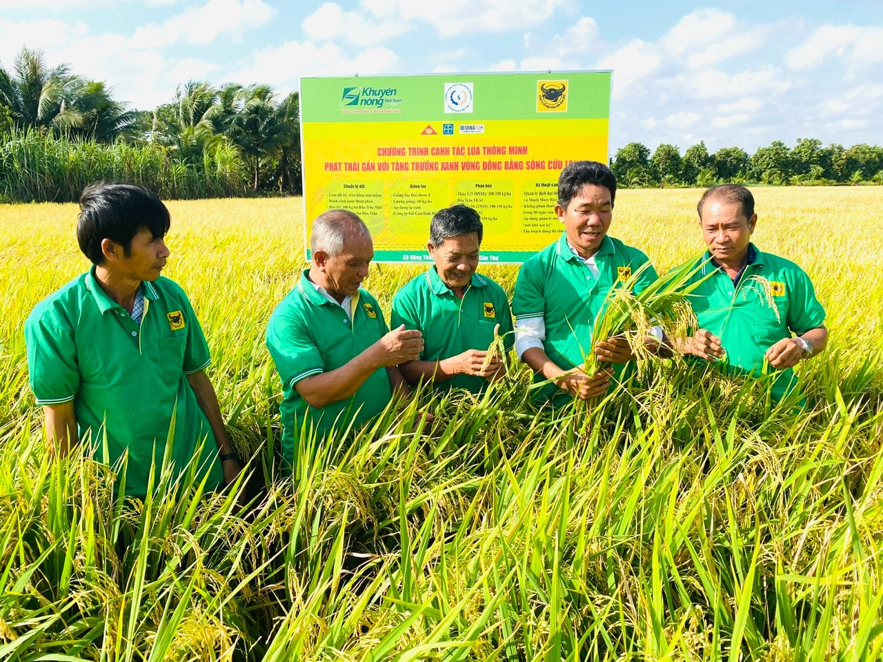 Những kết quả tích cực trong vụ hè thu 2024 ở đồng bằng sông Cửu Long -0