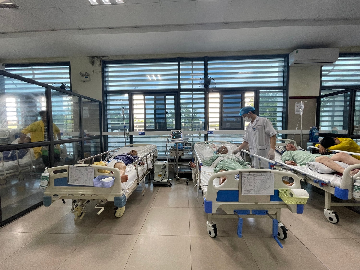 Uống rượu ngâm rễ cây rừng, 2 người đàn ông ngộ độc nguy kịch -0