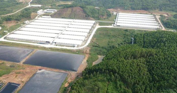 Bắc Giang: Công ty TNHH chăn nuôi Sơn Động bị đề nghị thu hồi số tiền gần 3,2 tỷ đồng -0