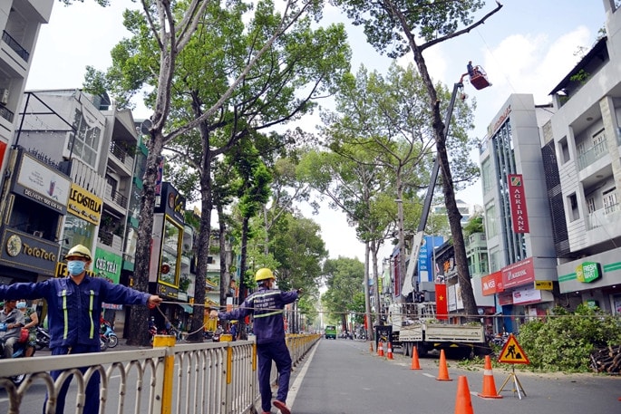 TP. Hồ Chí Minh bảo đảm an toàn với hệ thống cây xanh như thế nào? -0