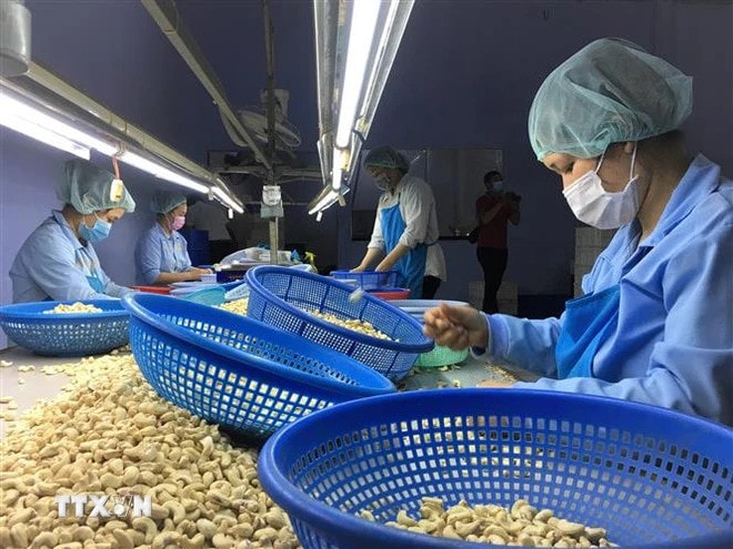 Cảnh báo thủ đoạn lừa đảo mới trong buôn bán quốc tế -0